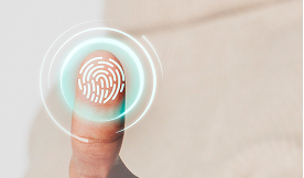 Biometric Visa System for a Global Visa Logistics Leader