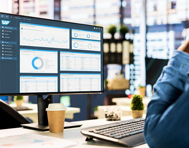 SAP Technical & BASIS Audit